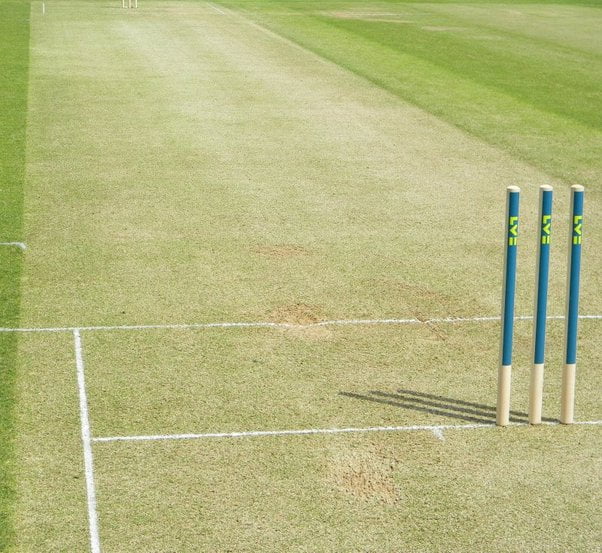 Different Types of Pitches in Cricket - you should know about it ...