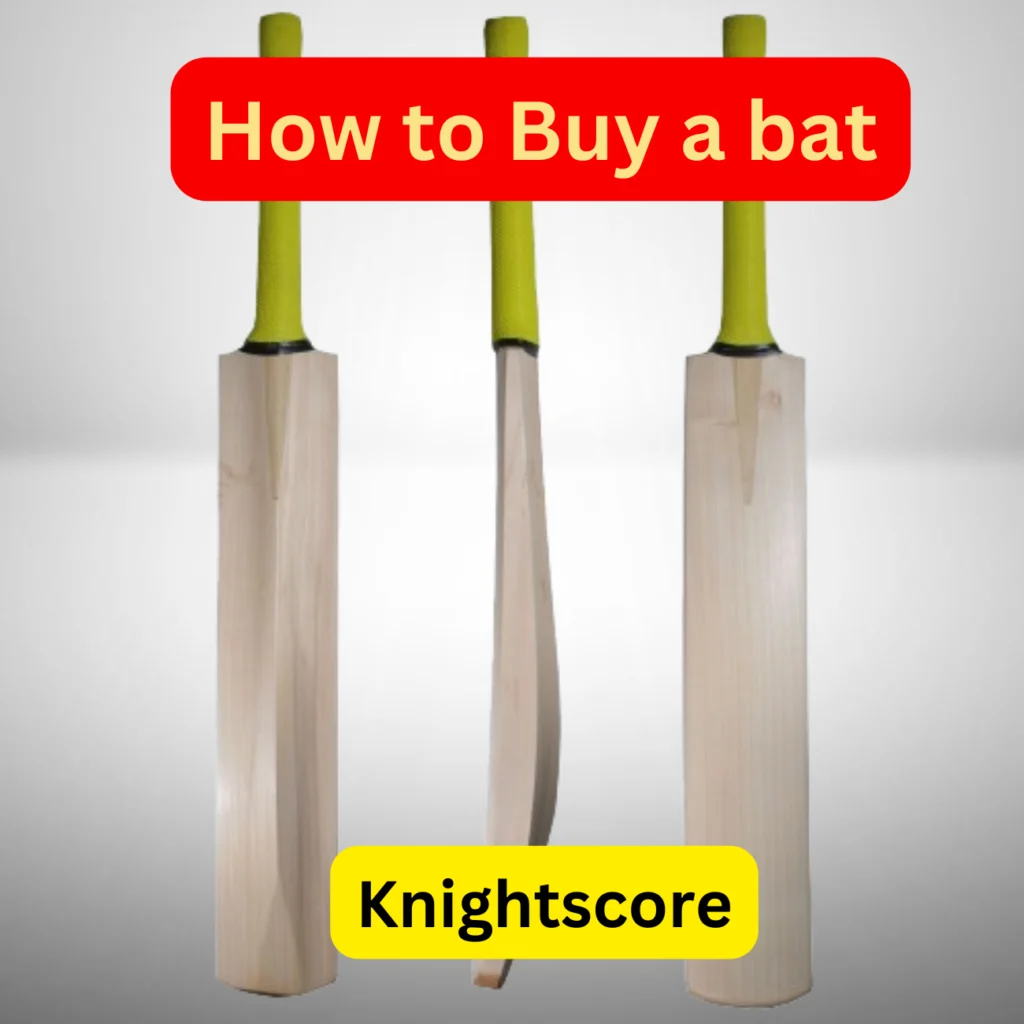 Best cricket bat for leather ball